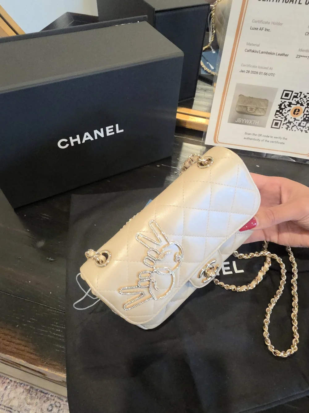Chanel FLAP BAG
